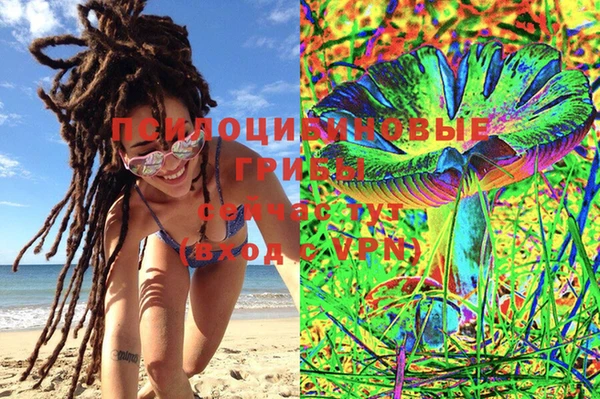 ECSTASY Алексеевка