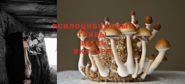 кокс Алзамай