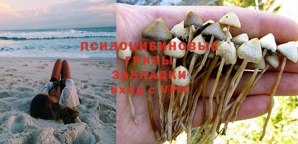кокс Алзамай