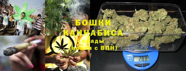ГАЛЛЮЦИНОГЕННЫЕ ГРИБЫ Абаза