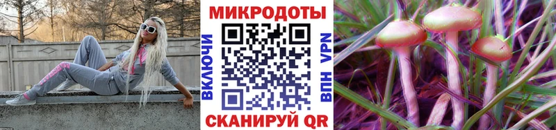 omg где купить Красноармейск Псилоцибиновые грибы Magic Shrooms